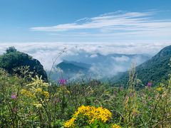 -白草畔自然风景区