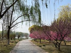 -石家庄市植物园
