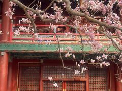 -潭柘寺景区