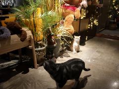 -咖法森林·咖啡  酒吧(天河店)