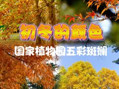 -国家植物园南园
