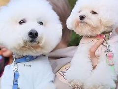 -上海神旺大酒店