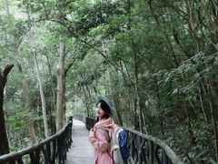 -龙湾潭国家森林公园