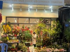 -溪岸路花鸟市场