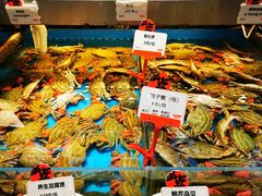 -必点海鲜·鲅鱼水饺(鞍山西道店)