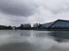 -上海长兴岛郊野公园