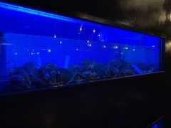 -Burger & Lobster(Dean Street)