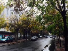 -天津津利华酒店