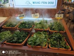 -国芳中心