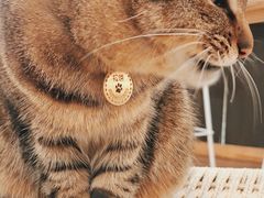 -猫的天空之城概念书店(杭州南宋御街店)