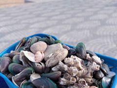 -天津东疆湾沙滩景区
