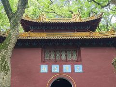 -普陀山风景名胜区-法雨禅寺