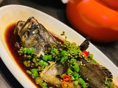清蒸原汁石斑鱼-莲·中餐厅(成都首座万豪酒店)