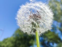 -沈阳森林动物园