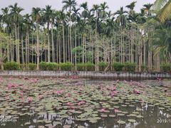 -红色娘子军纪念园