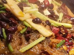 -老板恋上鱼(恒隆广场店)