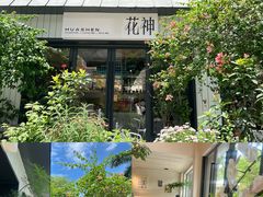 -花神·轻食简餐·咖啡馆·花卉绿植(荷兰花卉小镇店)