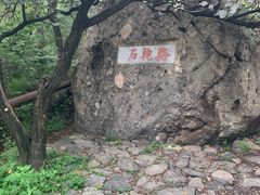 -阳台山自然风景区