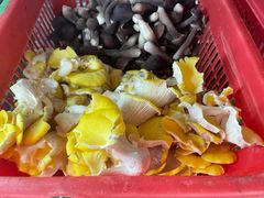 -京川野菌王(总店)
