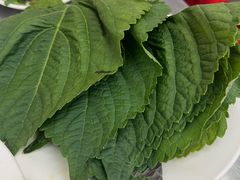 -松明一烤肉馆(鲁园店)