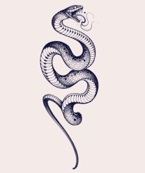 点击看大图 -针牛刺客·刺青纹身