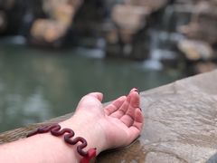 -深业半汤御泉庄温泉