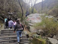 -王顺山国家森林公园