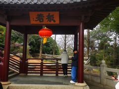-庐山风景名胜区-东林大佛