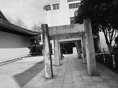 -常州古运河南大街文化旅游区-人民公园
