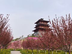 -古柏渡飞黄旅游区