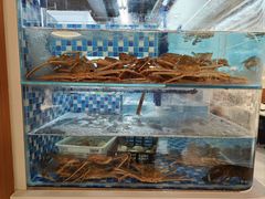-碗中海·蒸汽海鲜·桑拿鸡(岭南天地店)