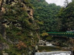 -牛背梁国家森林公园