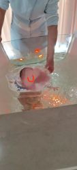-美悦湾月子中心(熙湖店)