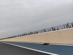 -大湾区中央湿地公园-十九涌