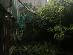 景点-成都动物园
