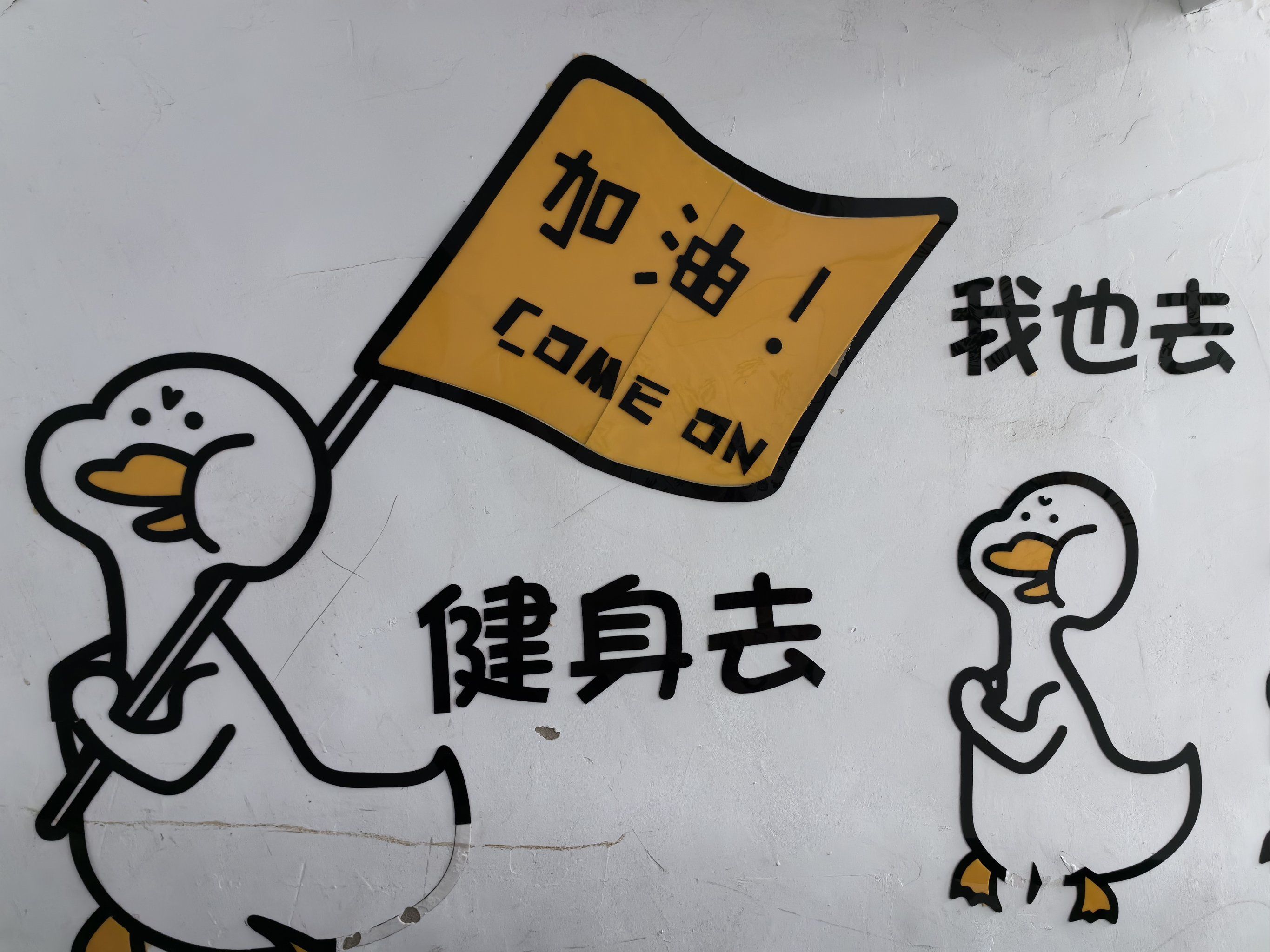 加油💪健身去🤓🤓🤓