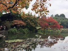 -西湖游船