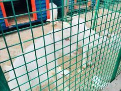 -同里湖度假村(二期店)