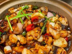 嘟嘟牛蛙煲-澳门星记猪骨(虹口龙之梦店)