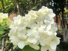 -杭州城北体育公园