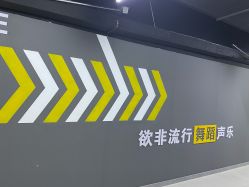 -欲非舞蹈