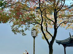 -万达影城(银兴菲林店)