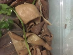 -乌文新澄海卤鹅店