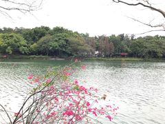 -星湖旅游景区七星岩