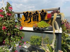 -野菌皇海景野生菌火锅(滨海大道店)