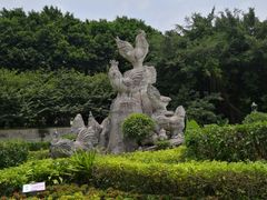 -金鸡山公园