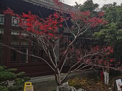 -太平天国天王府遗址