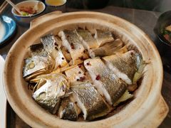 -1937青岛老味道·海肠捞饭·青岛菜(大鲍岛栈桥店)