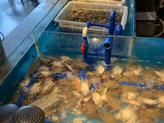 -星伦多 自助料理(圆融店)