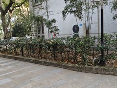 -湖北省美术院美术馆